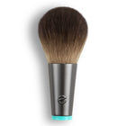 EcoTools Interchangeables Rounded Cheek Head – شراء أونلاين