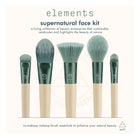 ECOTOOLS ET ELEMENTS COLLECTION - SUPERNATURAL FACE KIT (LIMITED EDITION) – free delivery