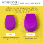 ET BIOBLENDER BY ECOTOOLS SPONGE ORNAMENT – photo 8