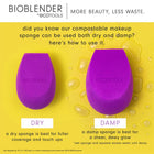 ECOTOOLS ET BIO BLENDER SINGLE – photo 8
