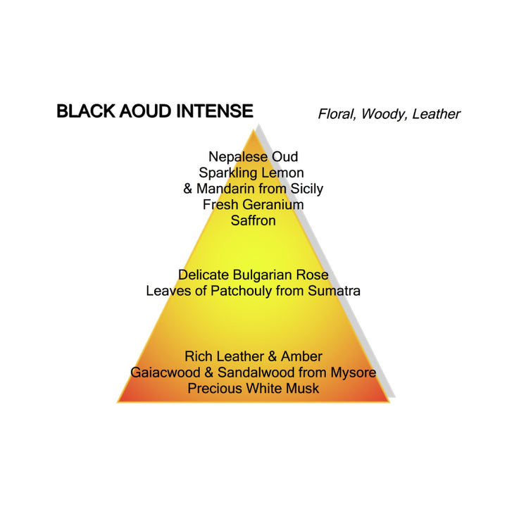 BLACK AOUD INTENSE EDP 100ML