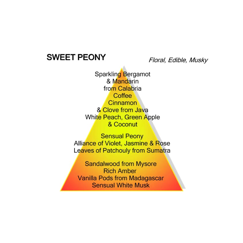 Sweet Peony