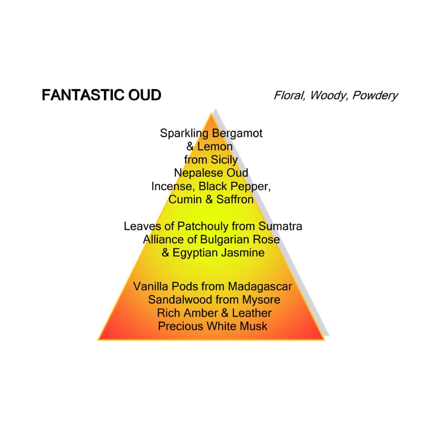 MONTALE FANTASTIC OUD EDP 100ML