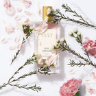Eau de Parfum CULT Pink Dreams 100 ml – شراء أونلاين