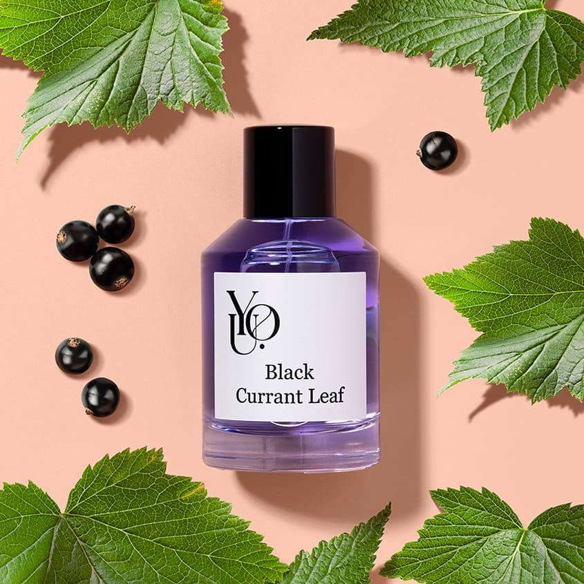 EDP YOU black currant leaf 100 ML – متجر إلكتروني