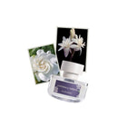 ELVIS+ELVIN GARDENIA & TUBEROSE EDP 48ML – توصيل مجاني