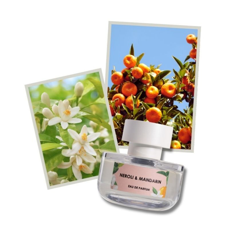 ELVIS+ELVIN NEROLI & MANDARIN EDP 48ML – buy online