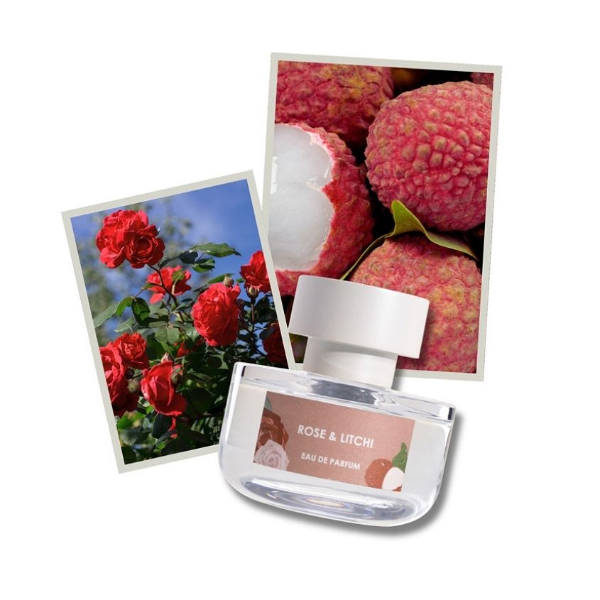 ELVIS+ELVIN ROSE & LITCHI EDP 48ML – buy online