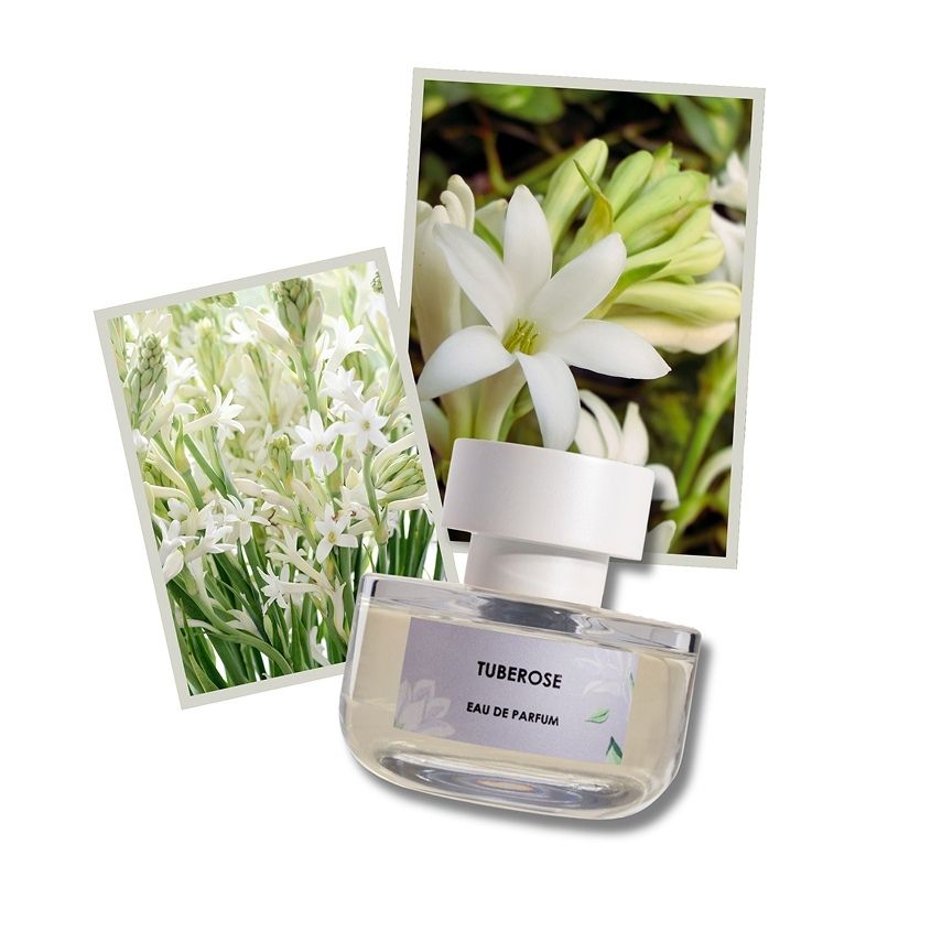 ELVIS+ELVIN TUBEROSE EDP 48ML – شراء أونلاين