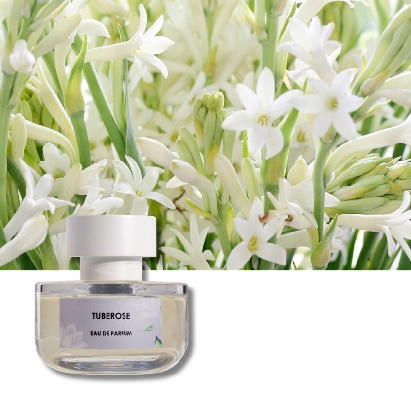 ELVIS+ELVIN TUBEROSE EDP 48ML – متجر إلكتروني