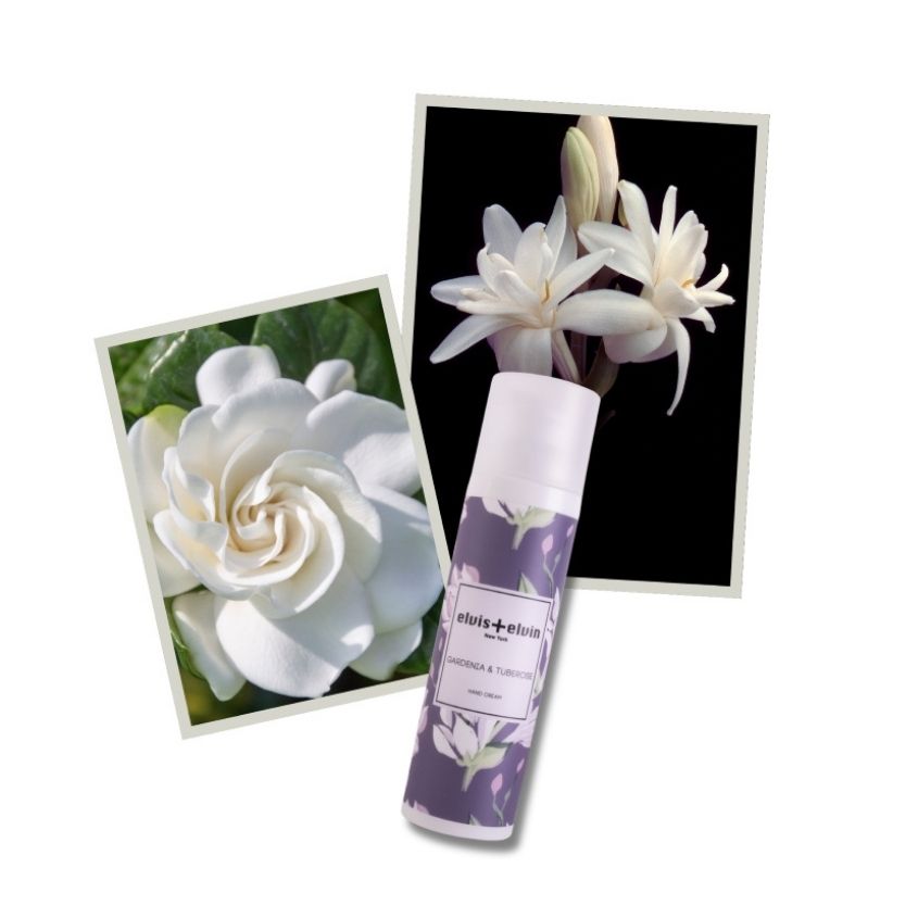 ELVIS+ELVIN GARDENIA & TUBEROSE HAND CREAM 75ML – شراء أونلاين