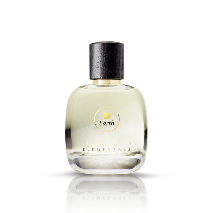 EARTH EDP 100 ML