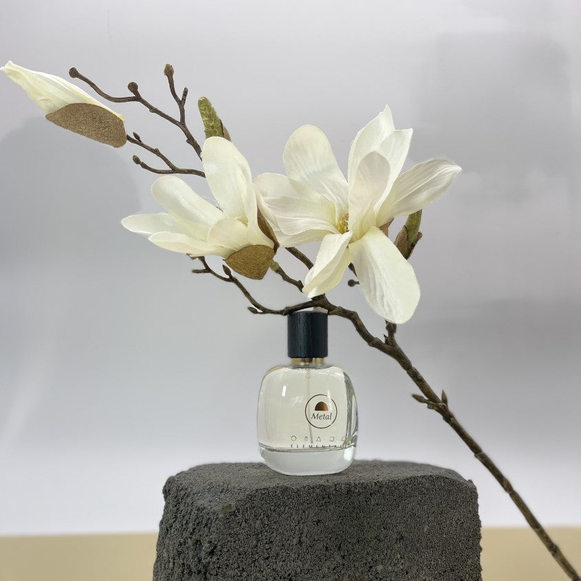 ELEMENTALS METAL EDP 100 ML – شراء أونلاين