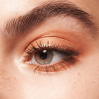 The Brown Edition Eyeshadow Palette