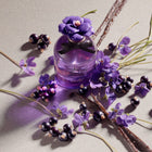 DOLCE&GABBANA DOLCE VIOLET EDT 50ML – صورة 7