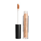 The Flawless Concealer