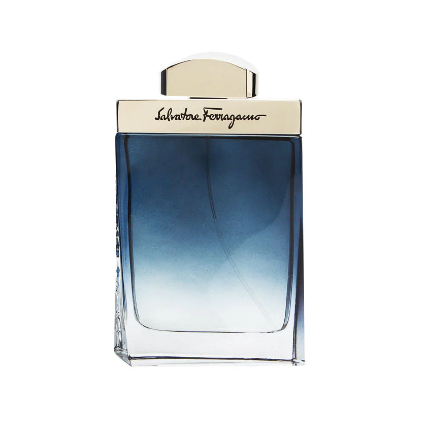 FERRAGAMO SUBTIL POUR HOMME EDT SPRAY 100ML