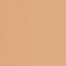 303 Classic Beige