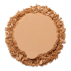 Wet & Dry Compact Powder
