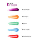 Juicy Lip Gloss
