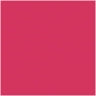 19 Pink Blossom