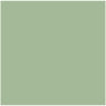 20 Jade, 1.4 g