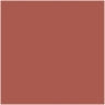 201 Copper Rust