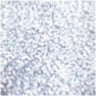 03 Silvery Glow