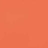 31 Vivid Coral