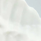 Creme A L'Opale Moisturizer Cream