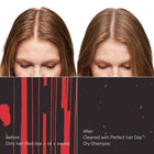 PhD Healthy Hair Perfector