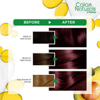 Color Naturals Crème Nourishing Permanent Hair Color