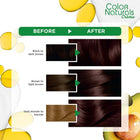 Color Naturals Crème Nourishing Permanent Hair Color
