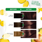 Color Naturals Crème Nourishing Permanent Hair Color