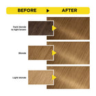 Olia Permanent Hair Color with 60% Oils