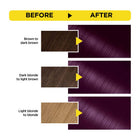 Olia Permanent Hair Color with 60% Oils