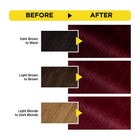 Olia Permanent Hair Color with 60% Oils