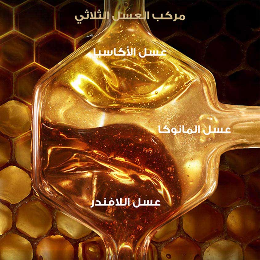 GARNIER UD HONEY TREASURE COND B360ML 002 – online store