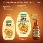 GARNIER UD HONEY TREASURE COND B360ML 002 – free delivery