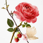 GOUTAL PARIS ROSE POMPON HAND BALM 40ML
