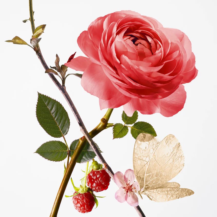 GOUTAL PARIS ROSE POMPON HAND BALM 40ML
