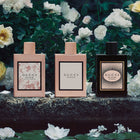 GUCCI BLOOM EDT 100 ML – photo 6