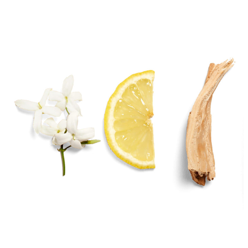 HEJ:PURE PURE LEMON EDP NS 50 ML – متجر إلكتروني