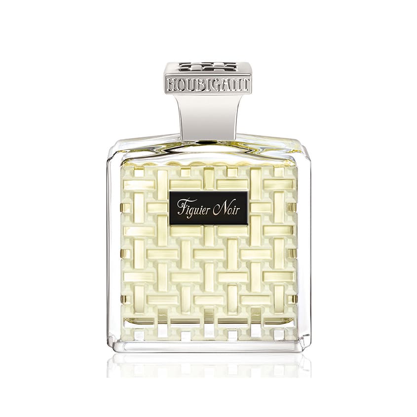 Figuier Noir
