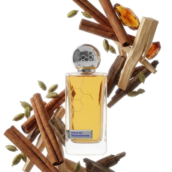THIS IS NOT TESTOSTERONE PARFUM, 100 ML
