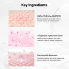Real Complexion Hyaluron Exfoliating AHA Treatment