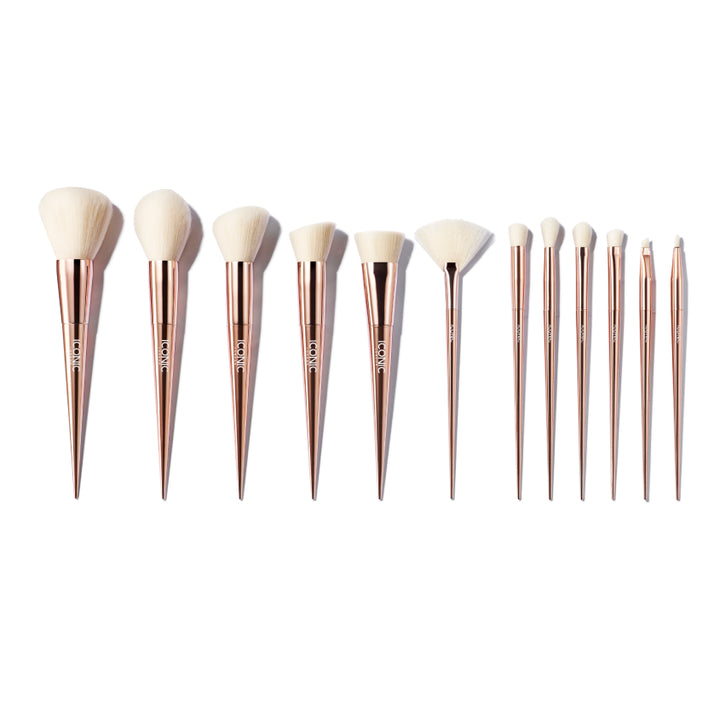 ULTIMATE BRUSH SET