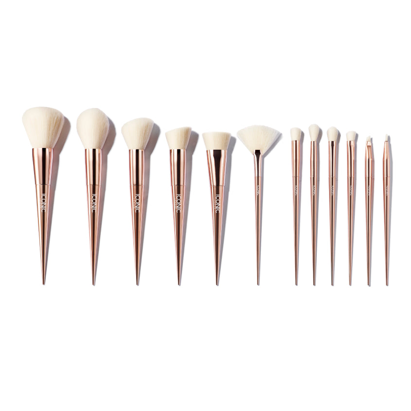 ULTIMATE BRUSH SET