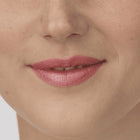 Perfect Moisture Lipstick