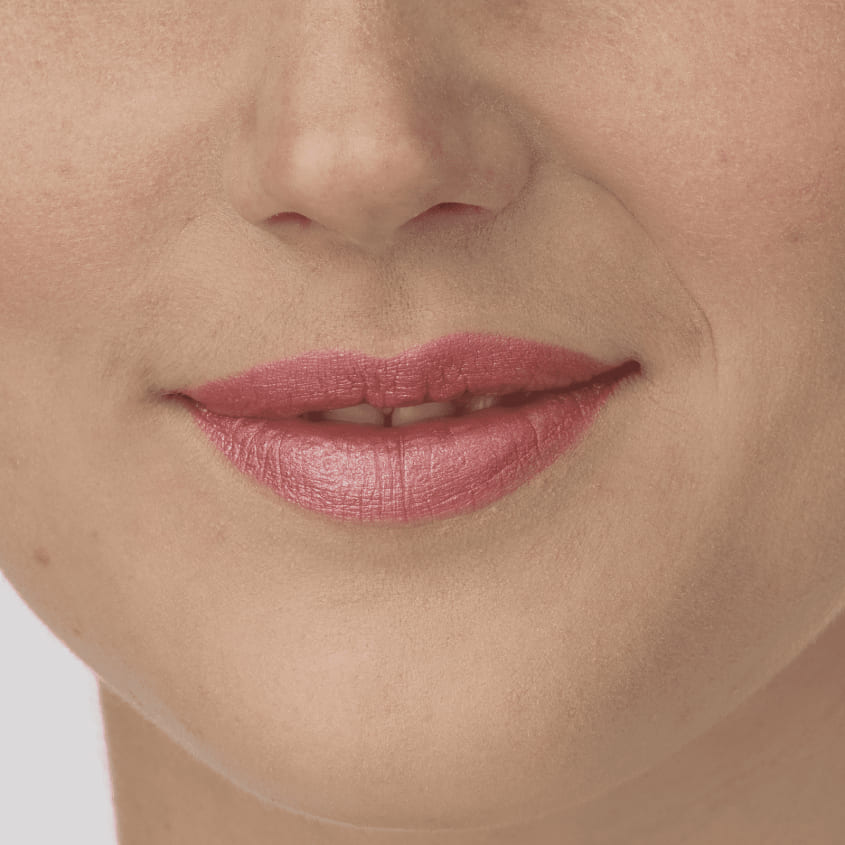 Perfect Moisture Lipstick